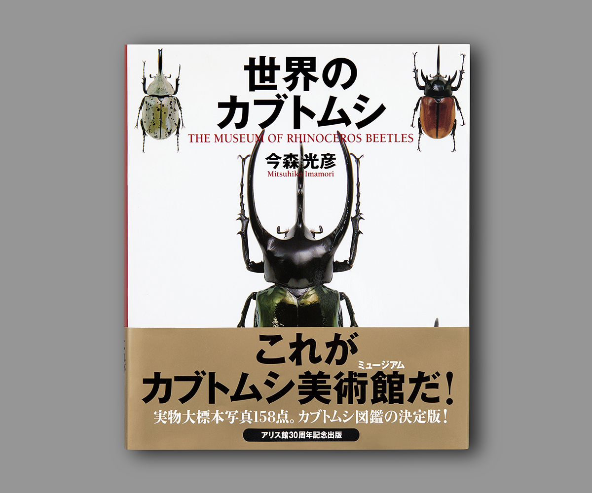 『世界のカブトムシ』の画像