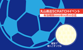 スクラッチカード（バラエティ）SCR-Y-V012